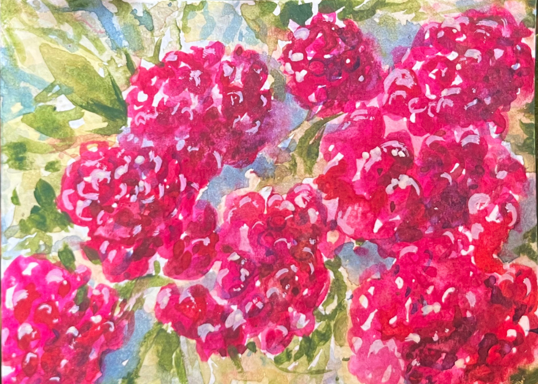 Ripe Red Raspberry Patch Watercolor Painting Print
