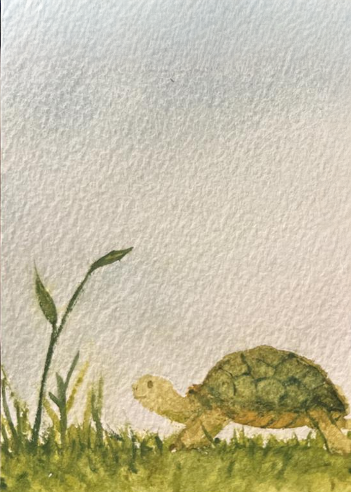 Tiny Turtle Discovery Watercolor Painting Print